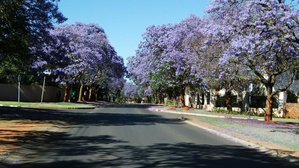 Northcliff Bed And Breakfast Randburg Εξωτερικό φωτογραφία